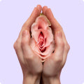 Two hands cupping a blooming pink rose against a soft purple background, symbolically representing female wellness and reproductive health.