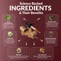 'Science Backed Ingredients & Their Benefits' infographic on burgundy. Six ingredients across the bundle: Cissus Quadrangularis (reactivates fat burn protein to burn calories 217% faster), Eleuthero Root (breaks down fat while calming stress), Berberine (boosts metabolism and controls blood sugar), Green Tea (lowers hunger hormone and reduces carb cravings), Kenyan Purple Tea (stops fat absorption with jitter-free energy), and True Cinnamon (steady blood sugar).