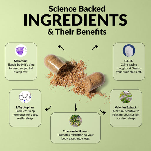 'Science Backed Ingredients & Their Benefits' infographic with an open capsule spilling powder on green. Five ingredients: Melatonin (fall asleep fast), L-Tryptophan (deep restful sleep), Chamomile Flower (relaxation), GABA (calms racing thoughts), and Valerian Extract (natural sedative for deep sleep).