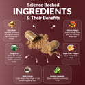 'Science Backed Ingredients & Their Benefits' infographic on burgundy. Six ingredients across the bundle: Maca Root (balances hormones, stops hot flashes), Dong Quai (natural estrogen for hot flashes and mood), Black Cohosh (calms hot flash trigger for sleep), African Mango (boosts all-day calorie burn), Apple Cider Vinegar (burns stored fat for energy), and Garcinia Cambogia (blocks carbs from converting to fat).