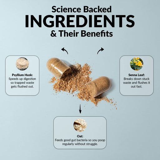 'Science Backed Ingredients & Their Benefits' infographic on light blue with an open capsule spilling powder. Three ingredients: Psyllium Husk (speeds digestion to flush trapped waste), Senna Leaf (breaks down and flushes stuck waste), and Oat (feeds gut bacteria for regularity).