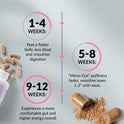 Results timeline on light blue with scattered capsules and powder. 1-4 Weeks: flatter belly, less bloat and smoother digestion. 5-8 Weeks: Meno-Gut puffiness fades and waistline loses 1-2 inches. 9-12 Weeks: more comfortable gut and higher energy overall.