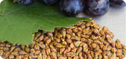 Grape seeds with green leaves and grape on a light background