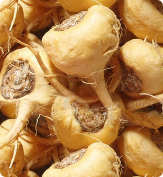 _Over 30 Hormone Support_