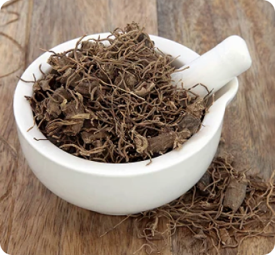 Black Cohosh